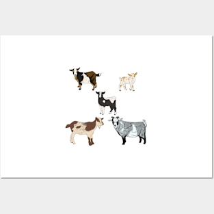 Transparent Nigerian Dwarf Goats Pattern Posters and Art